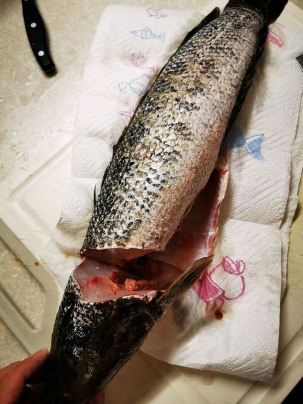 美食记之六：酸汤鱼火锅