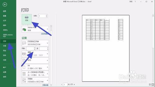 excel vba 设置打印机并打印机