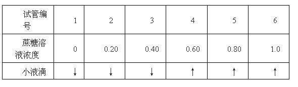 小液流法进行植物组织水势的测定方法