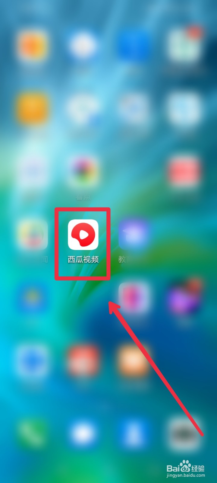 怎么在西瓜公益为免费午餐项目捐款?