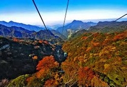 怎样确定你坠入了爱河