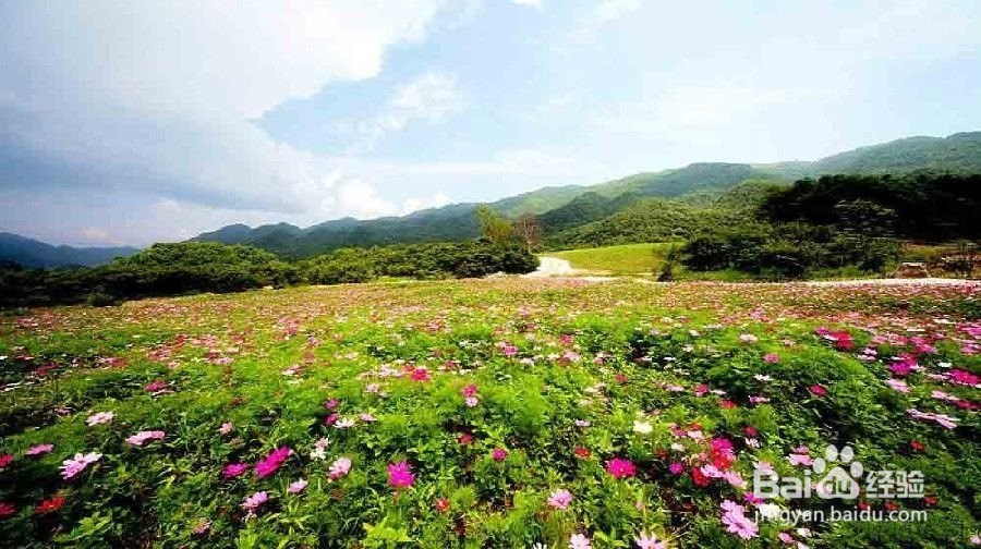 红池坝旅游攻略