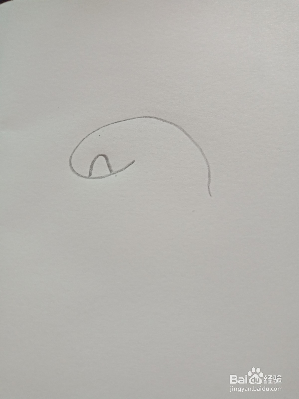 简笔画---马蹄莲