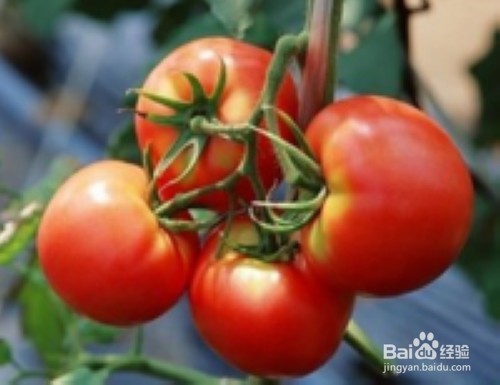 夏季健康 夏季养生 夏季保健