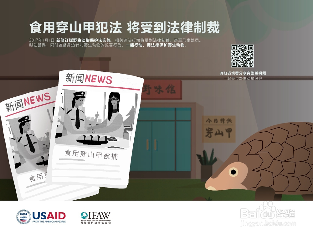 怎样正确保护野生动物