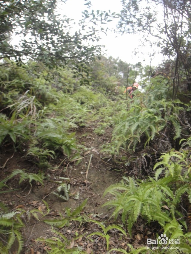 反穿福建福州十八重溪山脊,不一样的味道
