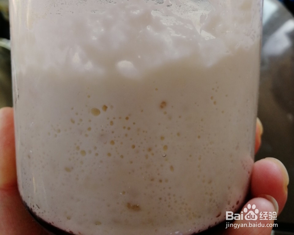 酥到掉渣的葡萄干天然酵母