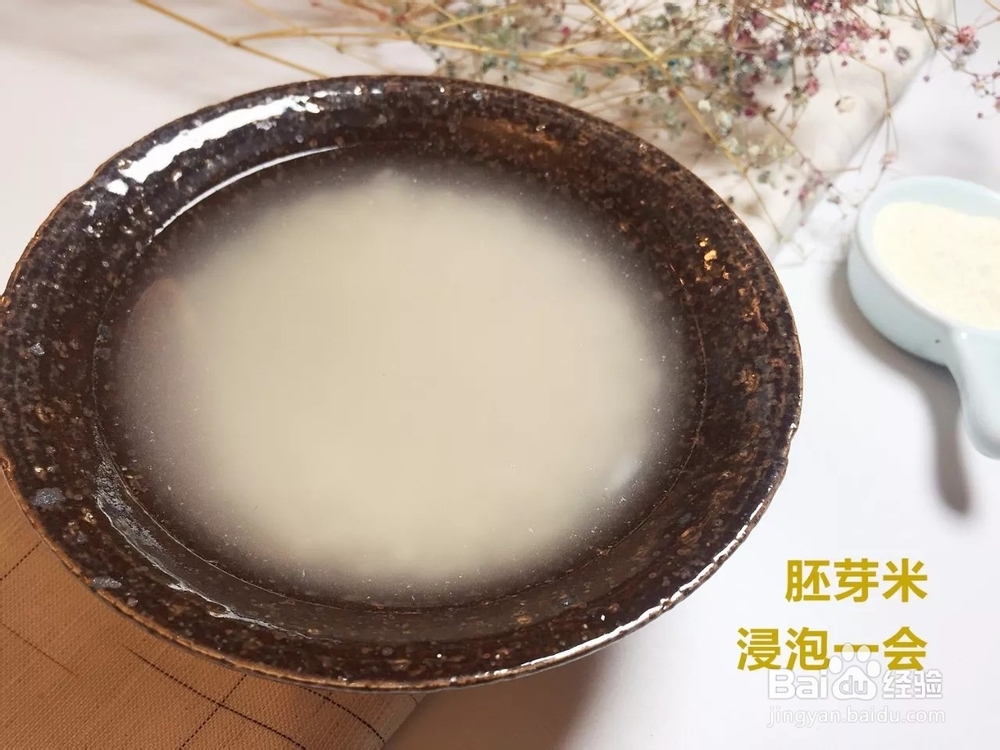 胚芽米乳宝宝大脑发育的最佳选择