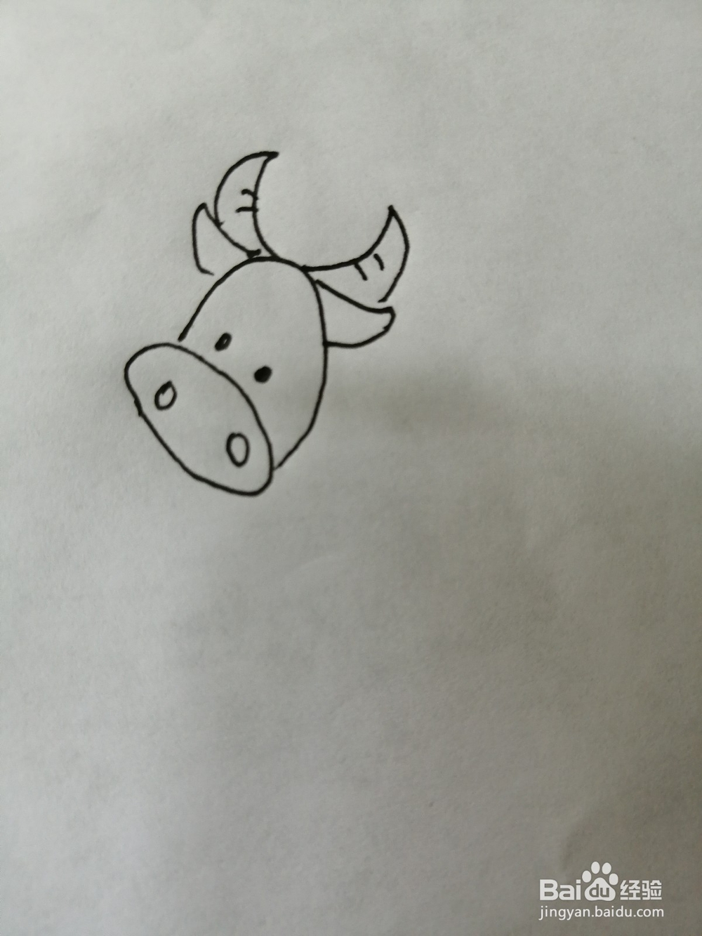 可爱的小牛怎么画