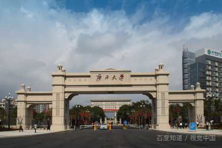 广西师范大学学费标准 一年学费是多少