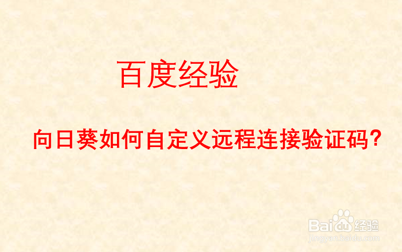 向日葵如何自定义远程连接验证码