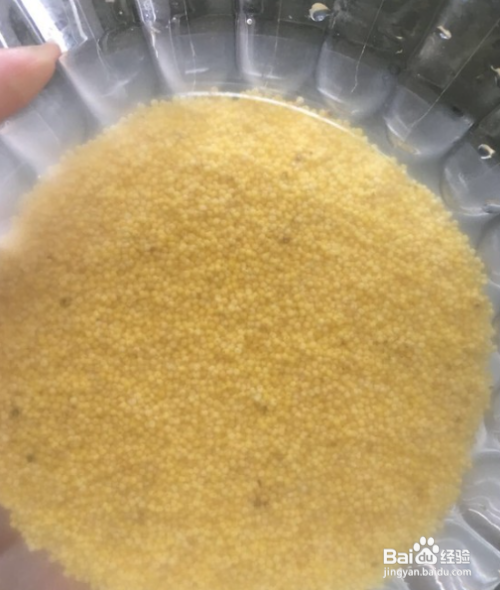小米粥怎么做好吃