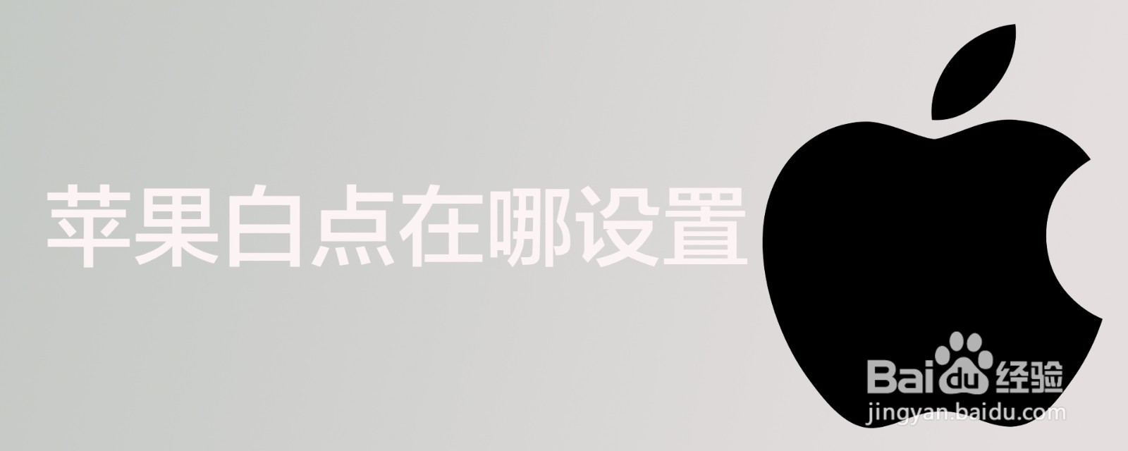 苹果白点在哪设置