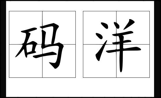 码洋是什么意思啊
