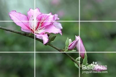 QQ空间的照片,怎样上传才更美