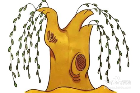 学画柳树简笔画