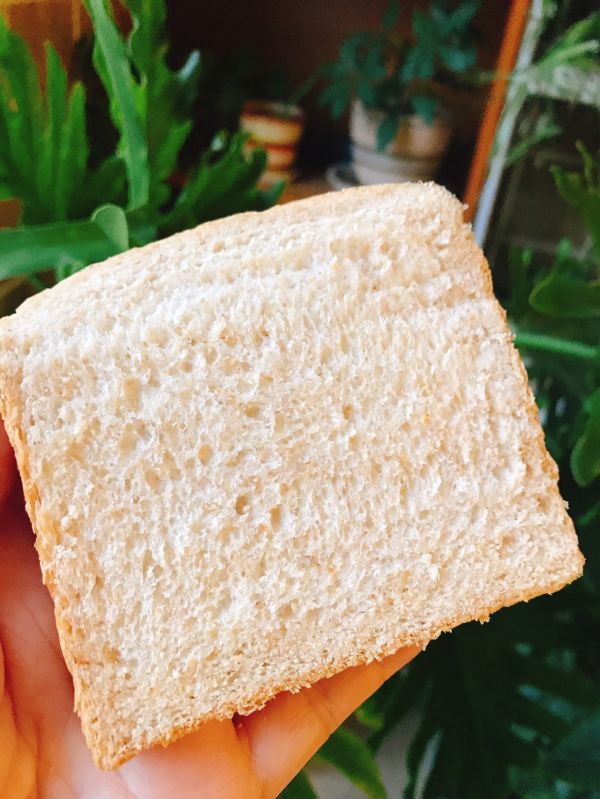 波兰种百分百全麦吐司