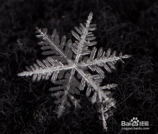 如何拍摄雪花