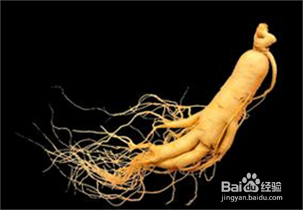 秋冬进补各类常见中药的药性