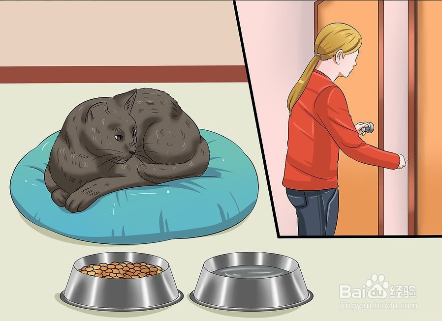 如何让你的猫爱你