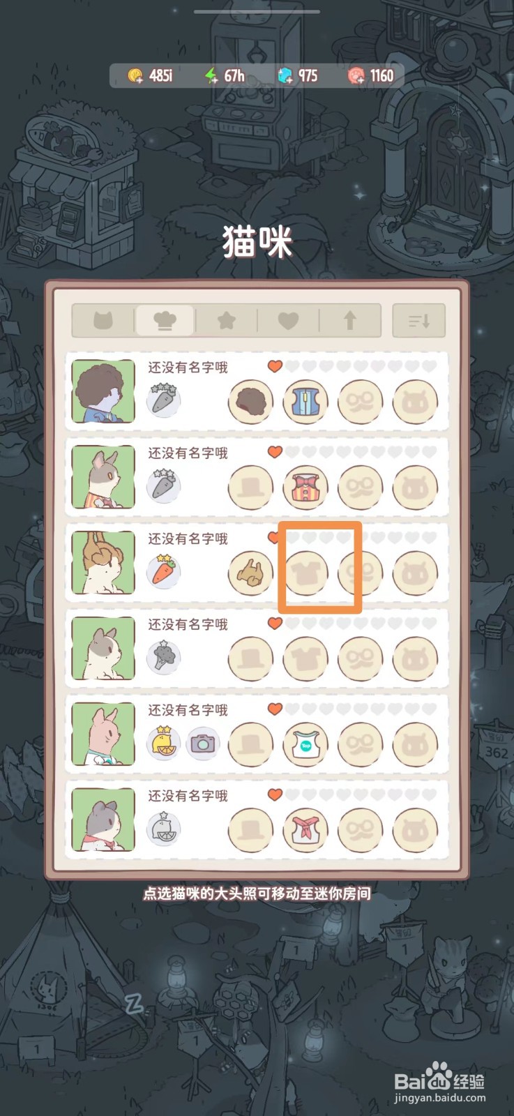 猫咪和汤怎么给猫咪穿蓝色背心