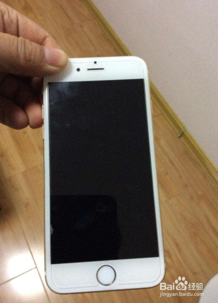 苹果手机进水手电亮怎么处理