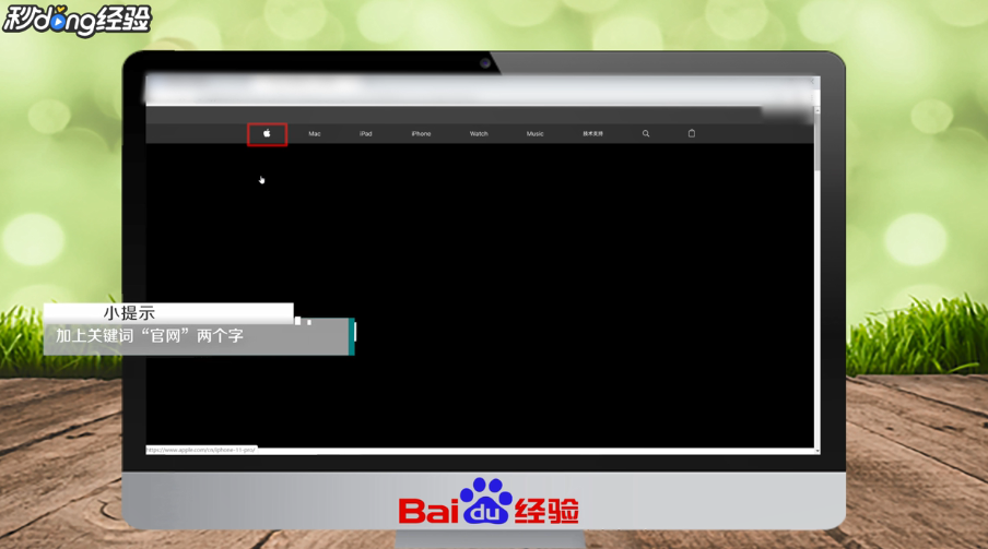 官方网站怎么查询