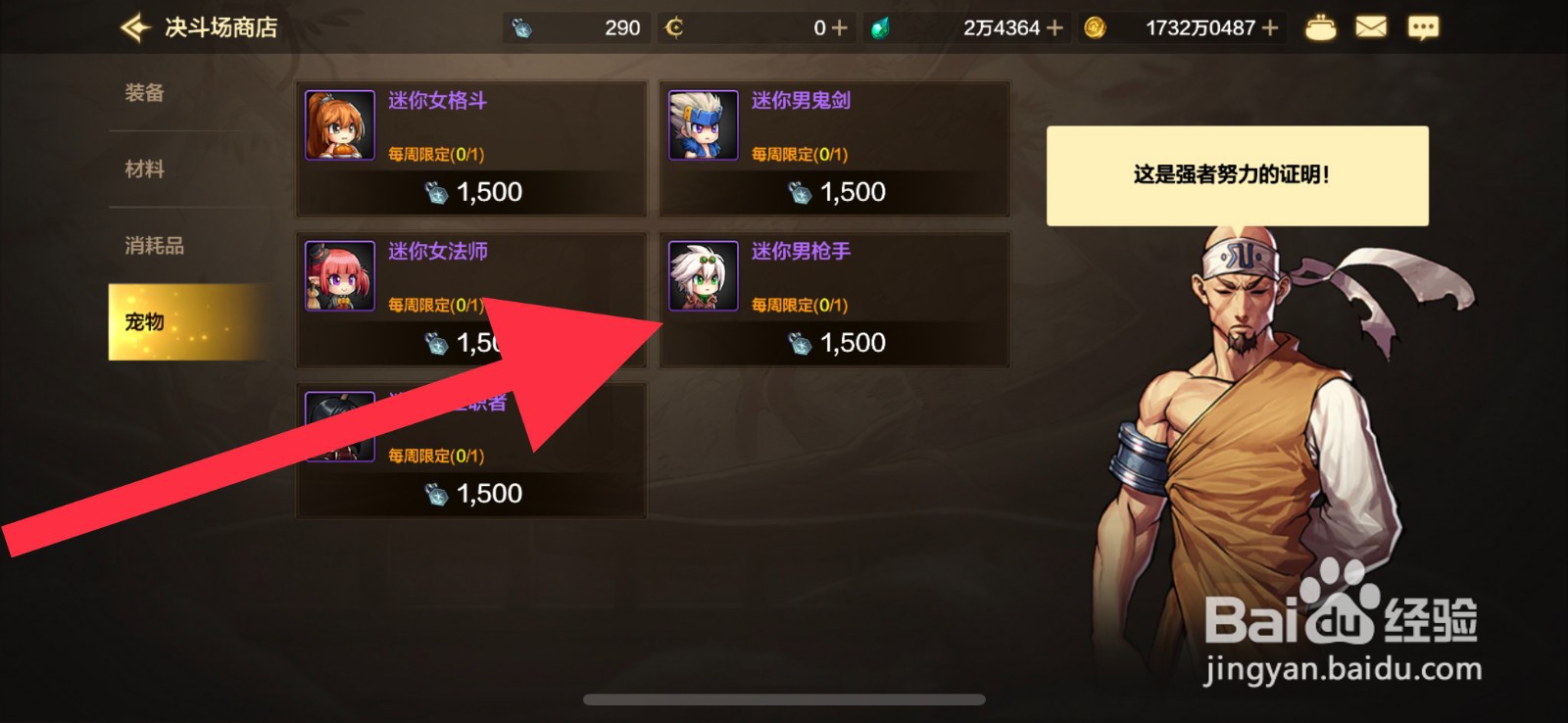 DNF手游宠物怎么兑换获取