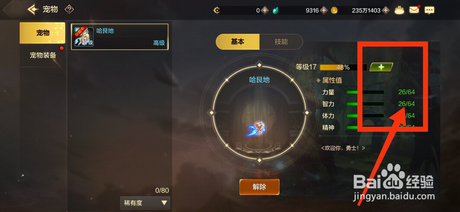 DNF手游怎么给宠物升级