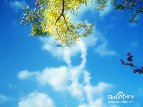 怎么做到心胸宽旷