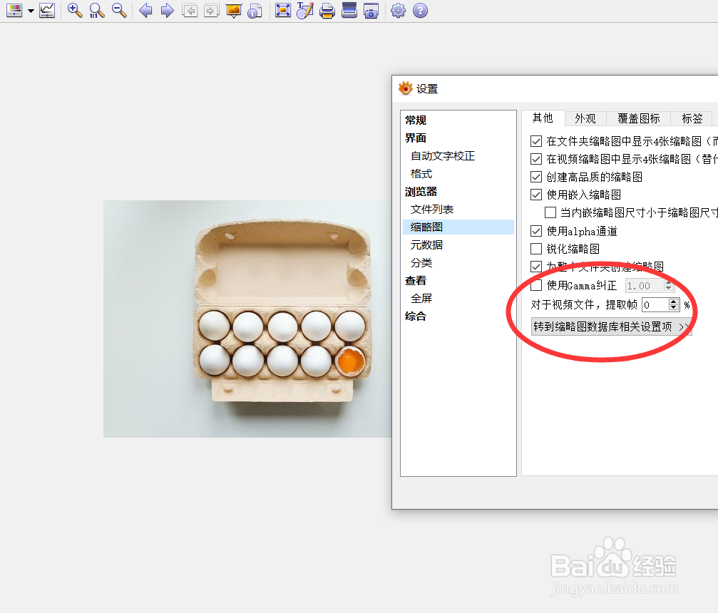 怎么启用xnview的缩略图gamma纠正功能