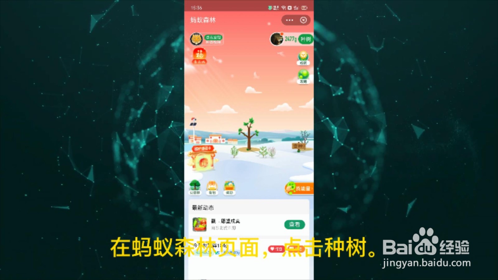 支付宝的环保证书是怎么获得的