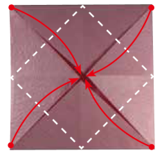 如何折一朵睡莲