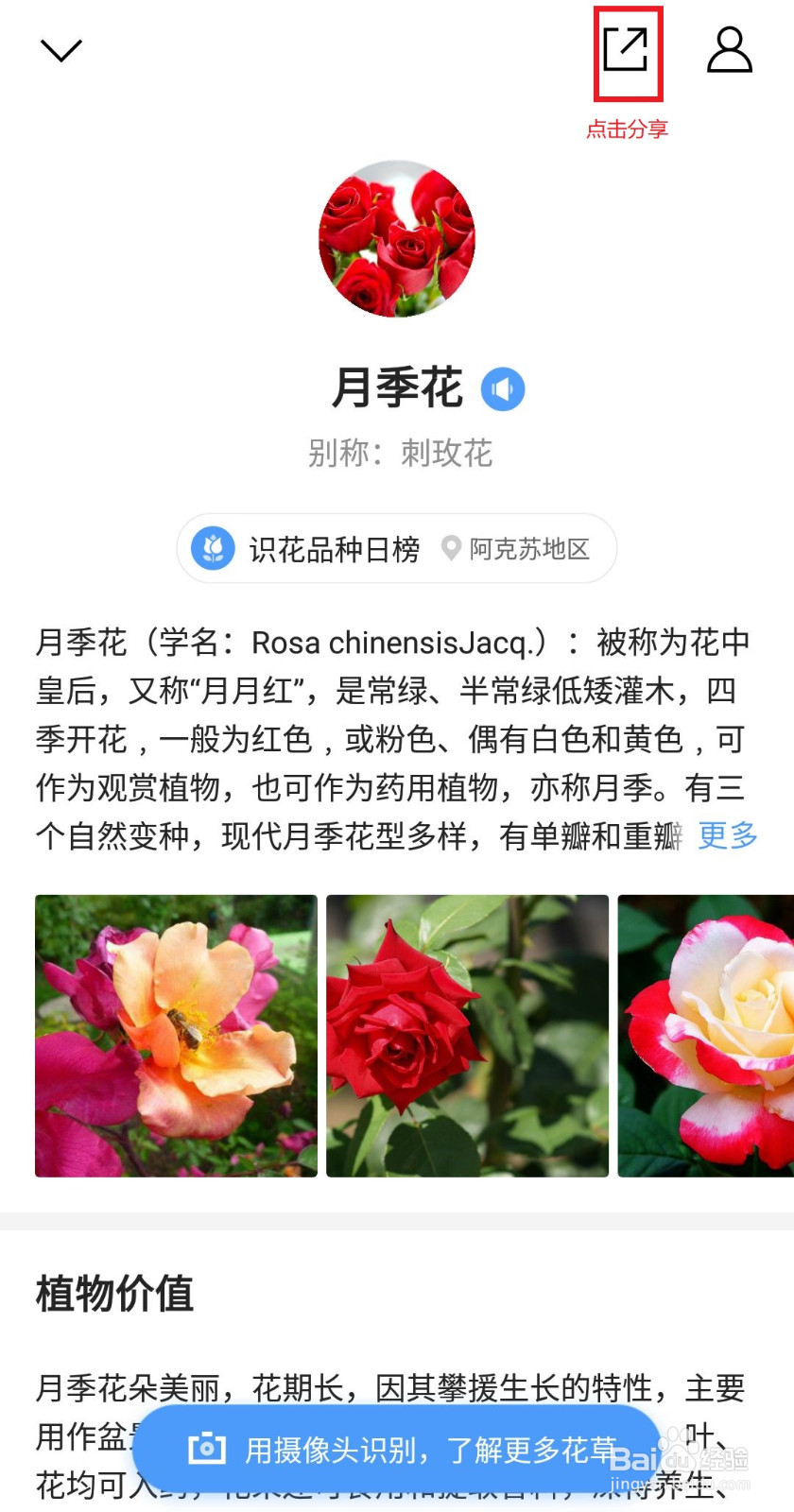 如何用手机识别各种花草！