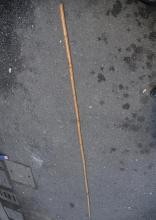 树洞取球的各种方法