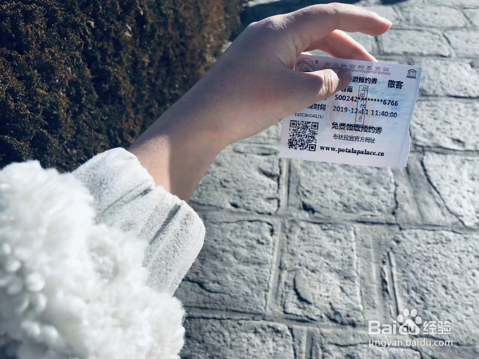 重庆到西藏拉萨怎么游玩?