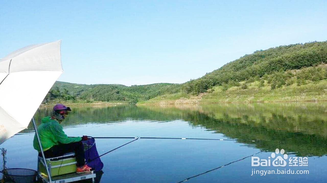 钓鲢鳙怎么找鱼层