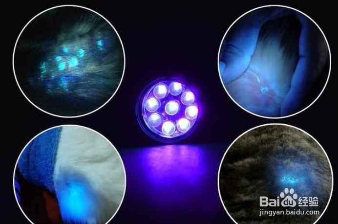 怎么判断是不是猫藓?