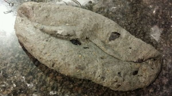 全麦黑提黑芝麻包