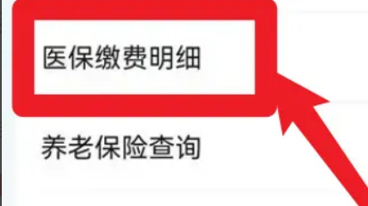 怎样查新农合医保缴费情况