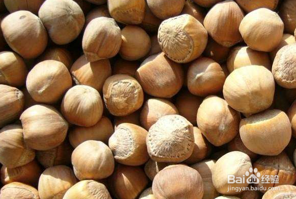 鲜榛子仁如何保存