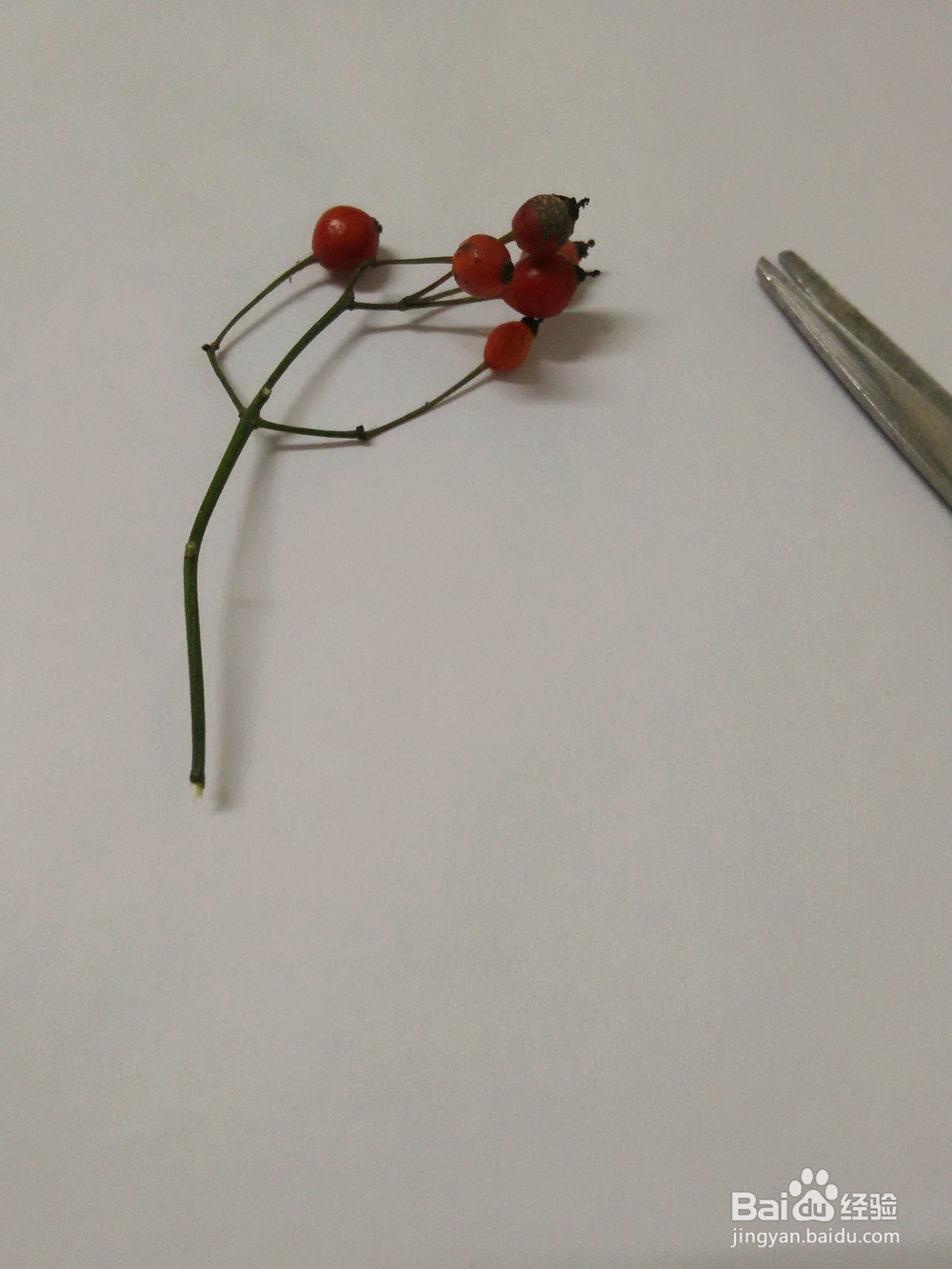 儿童创意画的教程