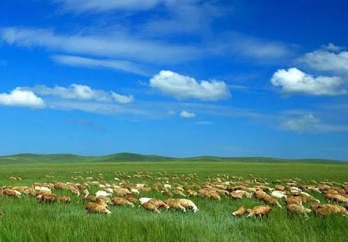 《敕勒歌》选自