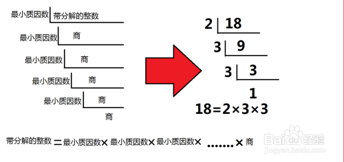 分解素因数的方法 百度经验