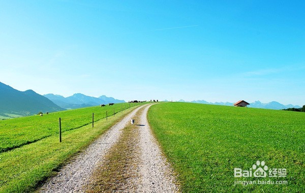 哪些个人信息不宜公开