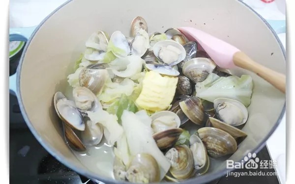 如何做出家常菜系列之蛤蜊蒸包心菜