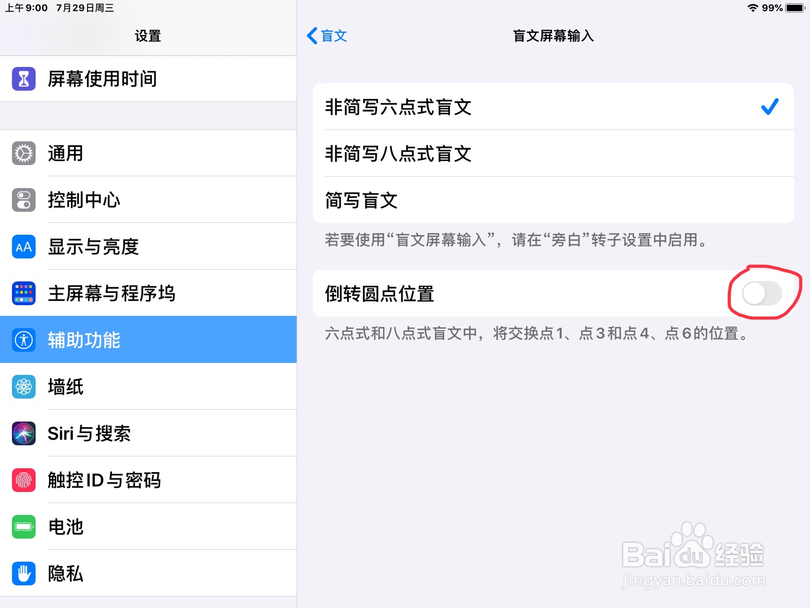 iPad怎么在旁白打开盲文屏幕输入的倒转圆点位置