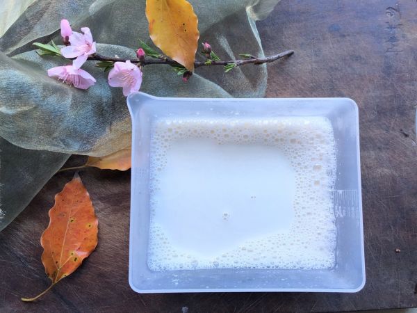 大米家～双皮奶