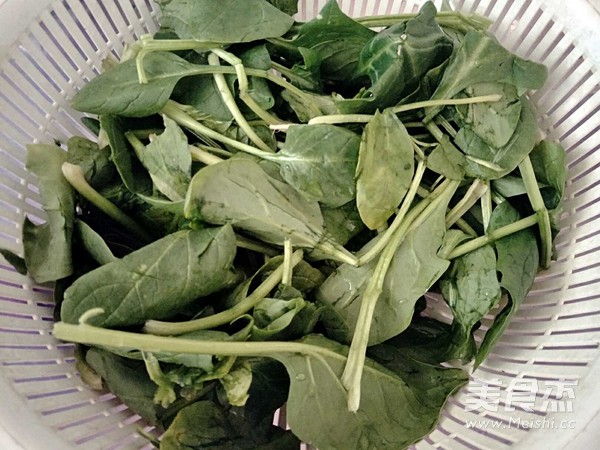 【果子木】大力水手|果仁菠菜