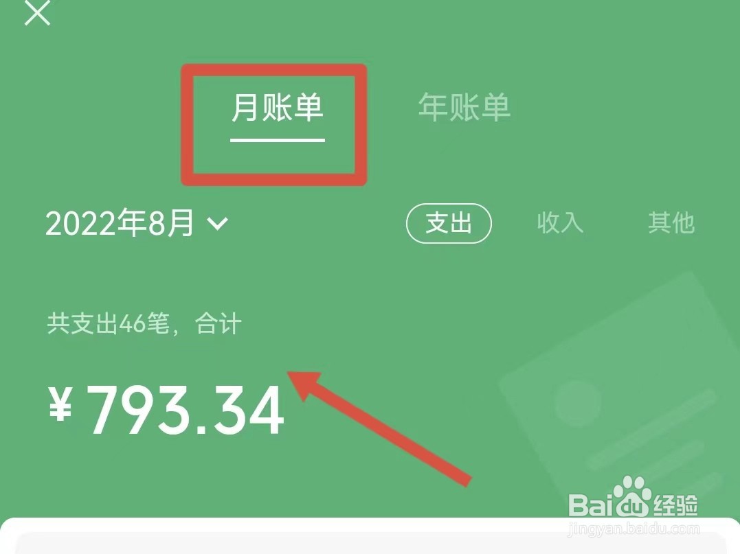 怎样查看微信支付的月账单